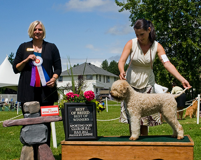 Jappaloup wins Best of Breed