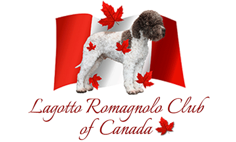 Lagotto Romagnolo Club of Canada launch