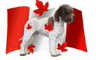 Lagotto Romagnolo Club of Canada logo